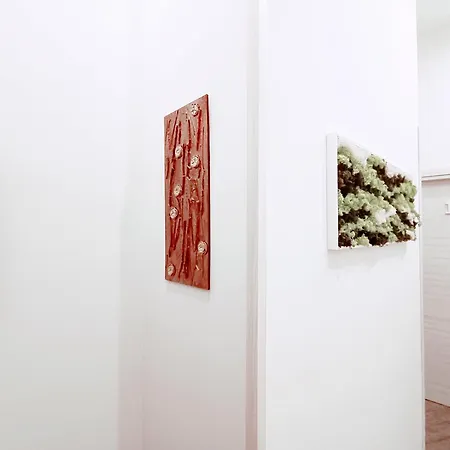 Da Ary Colorful Bed and Breakfast Νάπολη